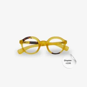 LAURO READING Yellow Havana 2.00 OK041Y3H 2.00