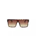 Okkia Sunglasses TOKYO Classic Havana - Image 6