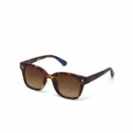 Okkia Sunglasses GIOVANNI Havana - Image 13