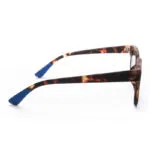 Okkia Sunglasses GIOVANNI Havana - Image 7