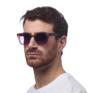 231526
