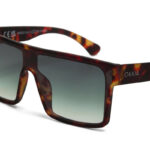 Okkia Sunglasses Tokyo Classic Havana Green Lenses - Image 6